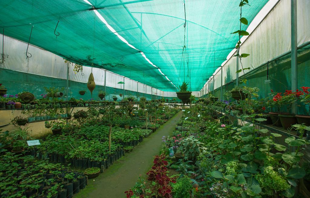 Pine Borough Inn Tamilnadu - Tamilnadu - Kodaikanal Extérieur photo